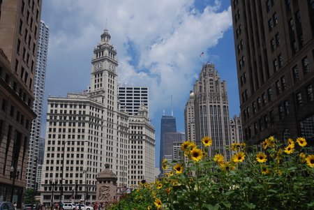 Le Wrigley Building à Chicago.